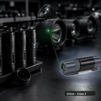 Module laser vert 532 nm Classe 2 Garantie 1 an pour l'assemblage de lampes de poche et l'équipement d'éclairage Vente directe usine CE RoHS OEM ODM