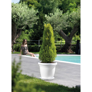 VASE 'VERONA' Ø cm 20x16,5h-couleur blanche distributeur italien - Product Image 3