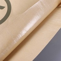 Sac en papier kraft laminé PP multi-usages pour divers matériaux secs tels que la poudre minérale et les granulés plastiques, sac en papier tissé