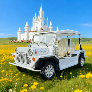 4 Seater <b>Lightweight</b> Electric Utility Vehicle for Resort Park Tour Transportation - Product Image 3