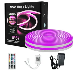 16.4FT/5M Rgb Neon Tube Couleur Changeante Flexible Corde Lumières Contrôle Avec App/Remote Plusieurs Modes Neon Rope Lights