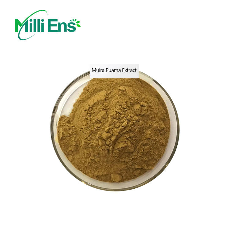 Оптовая продажа, чистый порошок семян Mucuna/порошок семян Mucuna puriens или экстракт Mucuna puriens