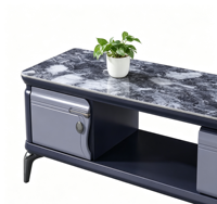 Table basse et meuble TV modernes en bois de haute qualité, très demandés, avec rangement pour salon