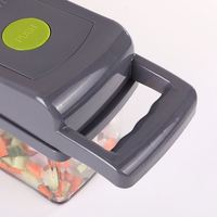 Multifunctionele Bestsellers Fruithakselsnijgereedschap Handleiding Online Groentesnijder Fruit-En Groentegereedschap