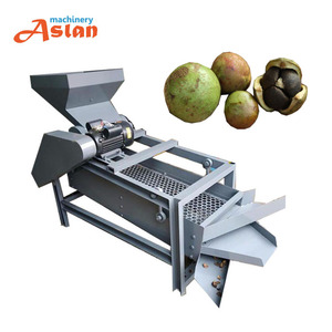Pelador de nueces de cacahuete, máquina de descascarado de cáscara de almendra y cacahuete, máquina separadora de semillas de Camelia - Product Image 1