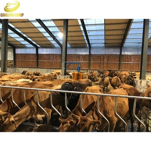 Chi Phí Thấp Ánh Sáng Hiện Đại Prefab Xây Dựng Thép Mái Cấu Trúc Tòa Nhà Trang Trại <span class=keywords><strong>Barn</strong></span> House Bò Sữa Đổ Gia Súc Xây Dựng - Product Image 2