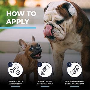 Emballage de luxe personnalisé Manuka miel bouledogue <span class=keywords><strong>rides</strong></span> éruption cutanée crème pour animaux de compagnie tampon de nettoyage peau enlever les <span class=keywords><strong>rides</strong></span> baume - Product Image 4