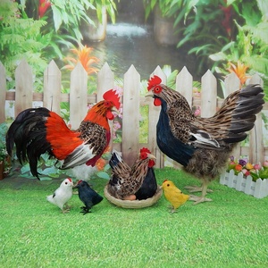 Modèle de poulet de simulation, spécimen de coq, ornement de poule, accessoires décoratifs pour supermarché, poulet domestique pondeur, jouet de poulet - Product Image 3