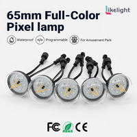 Luz Puntual de Filamento RGBW Direccionable de 65mm, DC24V, UCS2904, 360 Grados, para Equipos de Entretenimiento, Proyectos de Iluminación de Escenarios