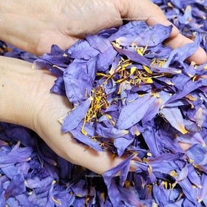 Pétalos de Loto Azul Secos, Conformidad con la Normativa de la UE, para Té, Fumar, Baño y Decoración - Product Image 4
