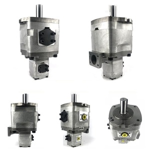DAESUNG-NACH IPH-22B,IPH-23B,IPH-24B,IPH-25B,IPH-26B,IPH-33B,IPH-34B,IPH-35B,IPH-36B,IPH-44B,IPH-45B,IPH-46B,IPH-55B Double Pompe - Product Image 1