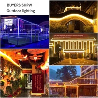 Lampe d'ambiance LED étanche pour extérieur 12-24V pour éclairage paysager de jardin intérieur - Bande lumineuse néon multicolore