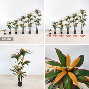 Wholesale High Quality Tropical Plant Decoration Dracaena <b>Tree</b> Eco-Friendly Home Decoration - Product Image 3