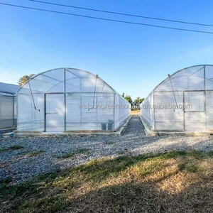 Mỹ thị Trường Duy nhất-span nhà kính với ánh sáng TRAMP, người hâm mộ và Máy hút ẩm - Product Image 1