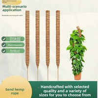 Support de plante en forme de bâton de cocotier pliable, écologique, pour jardin et plantes Pothos – Vente transfrontalière à succès