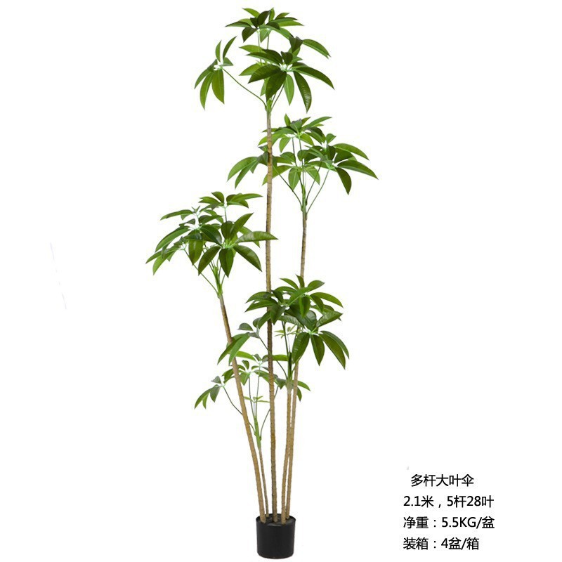 Arbre à monnaie, 210 cm (livré avec un socle noir)