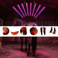 Dispositivos de Masaje con Terapia de Luz Infrarroja Roja para Caballos, Solárium Equino, Terapia de Luz Roja para la Espalda y el Cuerpo del Caballo