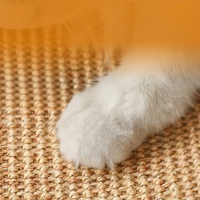 Tapis à gratter pour lapins en sisal, jouet anti-ennui pour lapins, antidérapant, résistant à l'usure et aux morsures