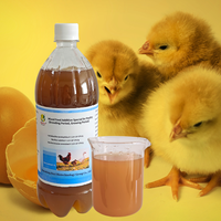 Solution Probiotique Complète pour Volailles Multi-Souches Vitamines A/C/D3 Oligo-éléments pour les Stades de Croissance et d'Élevage OEM Disponible