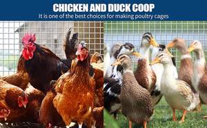 Grillage métallique 1/2 pouce 48 x 100 pieds, calibre 19, galvanisé à chaud, pour clôture de poulailler, rouleau de grillage anti-rongeurs et anti-gophers - Product Image 6