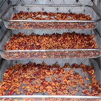 Fabrieksdirect multifunctionele automatische ananasdroogmachine, fruitdehydrator, ananasdroger