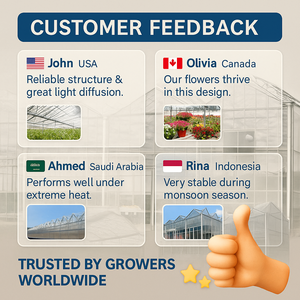 Nouveauté, cadre en acier galvanisé, serre à travée multiple pour poulaillers - Product Image 4