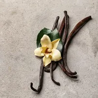 Bioverse Supply Hot Selling Vanille-extract Vanillepoeder Vanille-extractpoeder