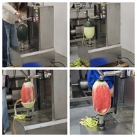 Automatische Ananas Dunschiller Elektrische Ananas Peeling Cutter Ananas Huid Schilmachine