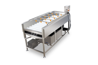 Commerciële Automatische Fruit-En Groenteborstel En Wasverwerkingsproductielijn