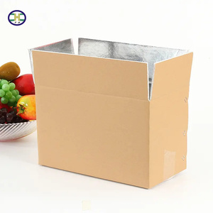Cold chain transportation environmental protection heat preservation carton fresh-keeping frozen food fruit box can be customize