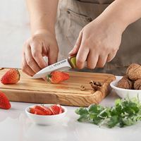 Ensemble de 4 couteaux à éplucher Little Cook, couteaux utilitaires et à fruits avec étuis, lames super affûtées et manches antidérapants colorés pour la maison