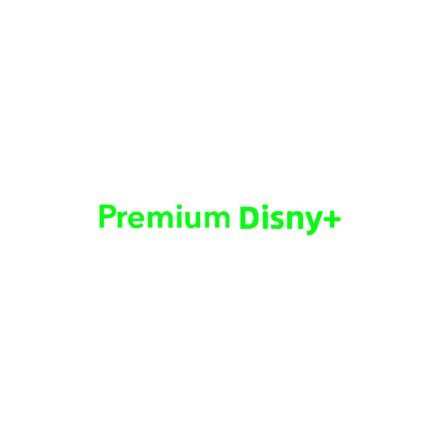 Dix Ney Plus Premium 1-Year 4K Unlimited Streaming Account Stable Global EU TV Stick Home Use Mac Supported Movies TV Shows