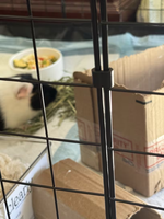 Loquet de porte de cage à lapin en fil métallique, connecteur pliable de luxe pour cages de chats et chiens