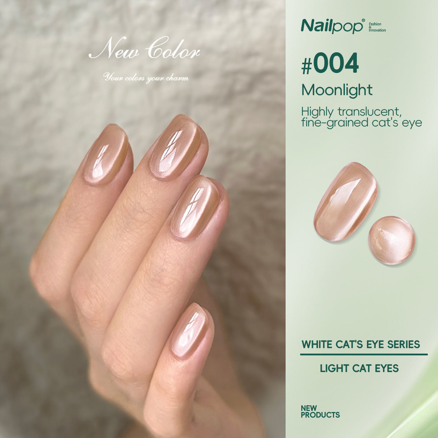 แคทอาย004