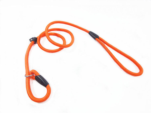 Sanan Custom Nylon Durable Handle Slip Training Pet Lead Long P Chain Rope <b>Dog</b> <b>Leash</b> - Product Image 5