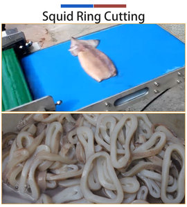 FENGXIANG Squid <b>Ring</b> Cutting Machine Stainless Steel Conveyor Type Semi-Automatic for Seafood Processing FGB-118 - Product Image 5