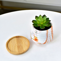 Petits pots en céramique pour plantes, fleurs, succulentes et cactus, décoration de jardin personnalisée