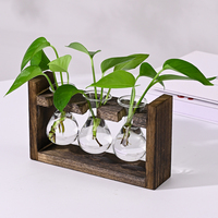 Plante en verre HOT, terrarium avec support en bois pour plantes hydroponiques, vase en verre rond de forme bulbe pour table, pots à fleurs
