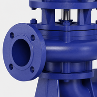 Pompe à eaux usées verticale 65LW35-60-15 pour élevage, 15KW 35m³/h, en fonte, pour aquaculture, construction et traitement des eaux usées