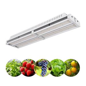 Lampes de culture LED à spectre complet Sanyiba 720W avec variateur d'intensité pour plantes d'intérieur et de serre PTU - Product Image 2