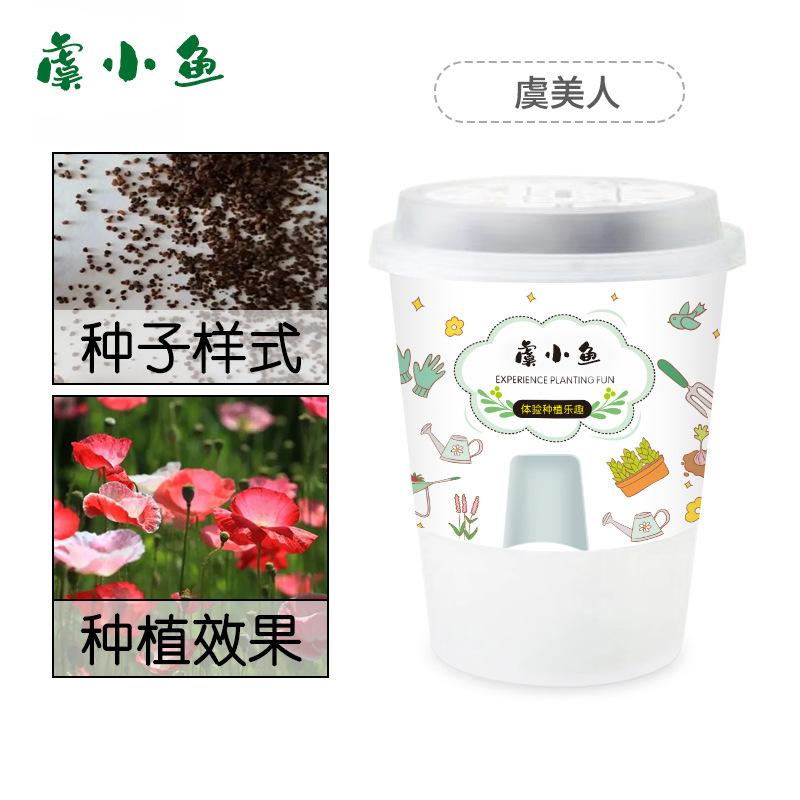 Kit de plantation de pavots