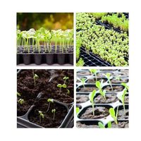 Plateaux de semis agricoles en PET pour serres, 21, 32, 50, 72, 98, 105, 128, 200 alvéoles, pour la culture de plantes et la germination des graines
