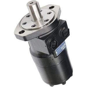 Motor hidráulico de engranajes ZTTW 101-1031-009 para Eaton Char-Lynn Serie H - Product Image 1