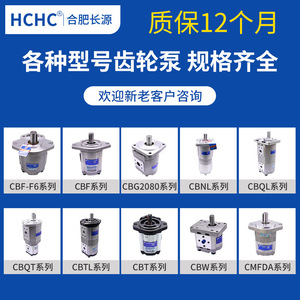 Bomba de Aceite para Engranajes Serie CBW/CBF de Hefei Changyuan, Nueva Condición, Componentes de Bomba de Aceite para Sistema de Enfardadora Hidráulica - Product Image 2