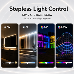 Controlador <span class=keywords><strong>DMX</strong></span> LED para Exteriores, Impermeable, 4 Canales, IP67, NFC, PWM, RGBW, Voltaje Constante, Kit OEM para 12-48V - Product Image 5