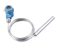Capteur de niveau de liquide sans contact 4-20mA Hart, portée 100m, en acier inoxydable 304, type immersion, 24VDC RS-485, précision 0,5% FS
