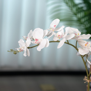 Chất Lượng Cao Thân Thiện Với Môi Bất Cảm Ứng Nhân Tạo Hoa Lan Hoa Trung Quốc Bán Buôn Cho Valentine Của Sự Kiện Ngày Tốt Nghiệp Hoa Hồng - Product Image 5