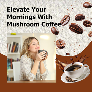 Café aux champignons en gros d'usine : Complément de Reishi en poudre pour l'équilibre digestif intestinal, stimulant d'énergie et de concentration - Product Image 6