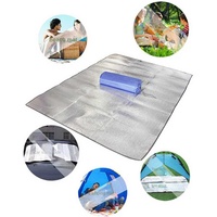 Tapis de pique-nique individuel en film d'aluminium EVA, imperméable et anti-humidité, pour camping, tapis de couchage portable d'extérieur, tapis de tente domestique
