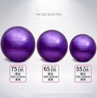 Ballon de Yoga Gonflable Multicolore en PVC de Marque en Gros pour Exercices, 55cm/65cm/75cm, Ballon d'Équilibre de Fitness, Équipement Sportif d'Intérieur